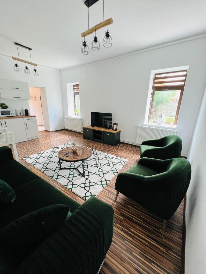 Apartament in regim hotelier King Mediaş Buitenkant foto