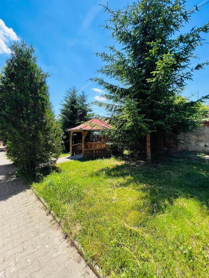 Apartament in regim hotelier King Mediaş Buitenkant foto
